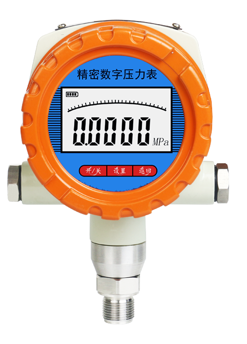 防爆數(shù)字壓力表